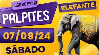 PALPITE DO DIA 07/09/2024 - JOGO DO BICHO 🍀 TODAS AS LOTERIAS 🍀