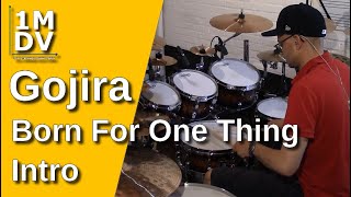 1MDV - The 1-Minute Drum Video #215 : Gojira / Born For One Thing Intro