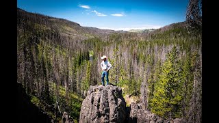 Bridger Teton NF, Teton Wilderness, Day 3 8-2020