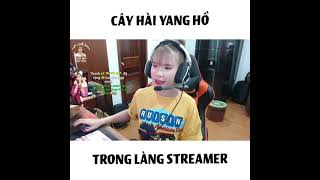 cây hài vàng trong làng livestream