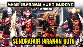 Live Jaranan Buto Suko Budoyo Hari Ini di Temuasri Sempu