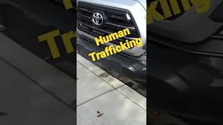 Human Trafficking