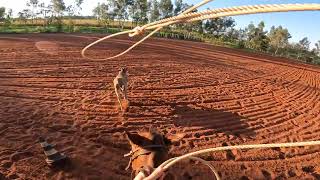 Tie Down Roping Go Pro Hero 10