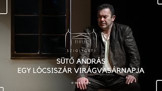 Sütő András: Egy lócsiszár virágvasárnapja Kolhaas Mihály szerepében Molnár László