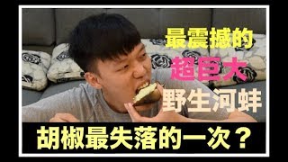 【胡椒】料理超稀有食材巨大野生河蚌！！