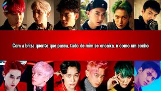 EXO - Butterfly Effect [Legendado | Tradução PT-BR]