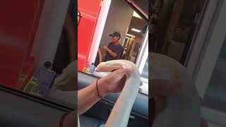 fuimos a comprar y así reaccionaron los chicos de Mc al ver a nuestra hermosa piton Cronos 🐍 #snake