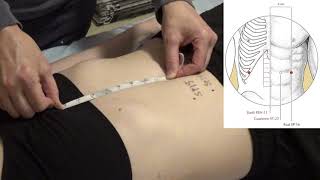 Acupuncture Point Location Spleen 12 through Spleen 21