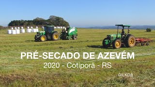 Pré Secado de Azevém - 2020 - Cotiporã RS