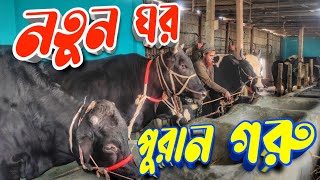 নতুন গরুর ঘরের উদ্বোধন || শের খান এর মেজাজ খারাপ || Purbasha Agro