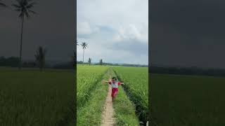 demi fyp aku rela nyemplung sawah