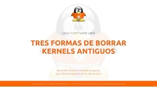 Tres formas de borrar kernels antiguos (Ubuntu)