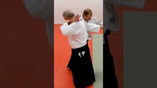 Aikido KAESHIWAZA, counter techniques, on TENCHINAGE, by Stefan Stenudd