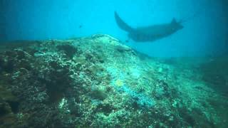 Manta Point Nusa Penida Bali