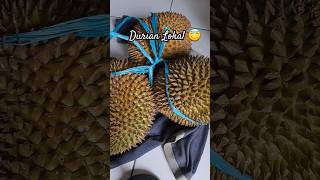 Durian Lokal | Harga 3 Buah 50 Ribu #durian #durianindonesia #durianpalembang #fruit #food