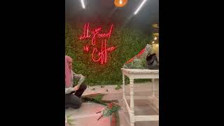 Diy flower green wall for coffee shop عمل حائط ورد صناعي ل كافيه Break Corner