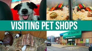 Visiting UK Pet Shops (with my dog!)