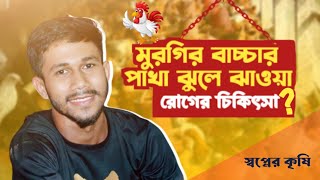 ঔষধ না খাইয়ে মুরগির বাচ্চার পাখা ঝুলে ঝাওয়া রোগের চিকিৎসা করুন।