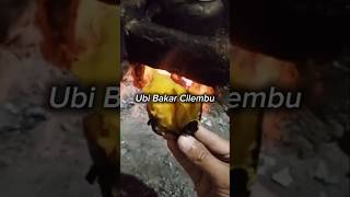 Ubi Bakar Enak #ubi #ubibakar #ubicilembu #fypシ゚viral #food #kuliner