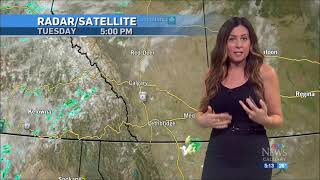 Danielle Savoni - CTV News Calgary - Weather - Tuesday, August 20, 2024.