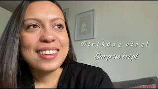 Birthday surprise Vlog! Norfolk, animals, crafts, well-being, strawberry picking, happy vlog!