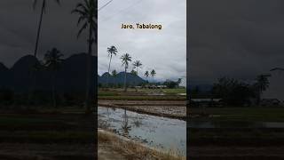 Jaro Tabalong #jaro #tanjung #tabalong #kalsel #kalimantan #shorts #fyp #viral #reels