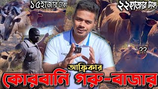 পানির দরে আফ্রিকার কোরবানি গরুর বাজার! এ যেন বাংলাদেশের সোনালী অতিত! Eid ul Adha Animal Rate Africa!