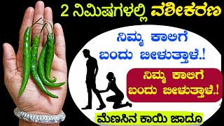 ಅವರೇ ನಿಮ್ಮ ಕಾಲಿಗೆ ಬೀಳುತ್ತಾರೆ, ಮೆಣಸಿನಕಾಯಿ ತಂತ್ರ ಮಾಡಿ. New Astrology Vashikaran Tantra