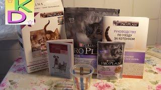 Бесплатная посылка корм PURINA для котят.Халява!!!