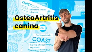 OsteoArtritis Canina #veterinaria #perros #veterinario