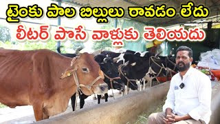 లీటర్ పోసే వాళ్లకు అర్థం కాదు EVR dairy farming @MalleshAdla