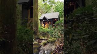 A Peaceful Cabin Moment #cabin #cabinlife #tinyhome