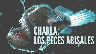 Charla: Los peces abisales 🐠🐟