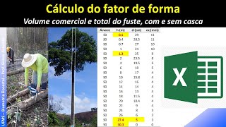 BF 26 - FATOR DE FORMA - Contextualização e exemplo prático