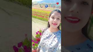 Mai apni favourite hu ❤️#kasmir #newtrend #tulipgarden #sonamarg #youtubeshorts