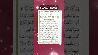 surah Yasin #murrotal#fypシ゚viral#shortsviral