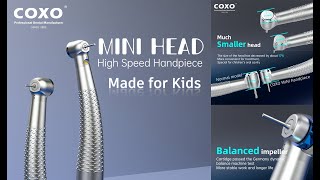 Coxo Super Mini Head High Speed Handpiece