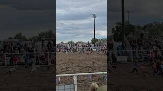 stick horse race - Last Stand Rodeo 2024