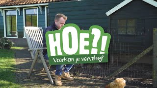 Hoe voorkom je verveling van je kip? | HOE?! | Welkoop