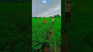 किसान 🙏🏼😊 #shortfeed #naturelovers #villagelife #shortvideo #villagelife #shortvideo #trending