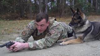 Politiehonden trainen , Politiehonden in actie, Politiehondentraining.