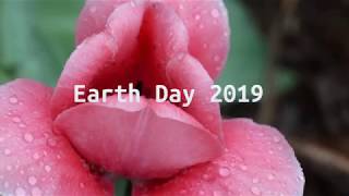 Earth Day 2019