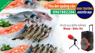 Thu âm Hải sản làng chài cơ sở 5 MC đọc bán hàng