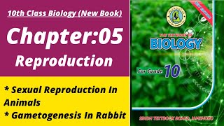 Sexual reproduction in animals class 10 | Biology class 10 chapter 5| Class 10 new biology book