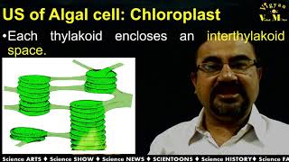 Ultra-structure of Algal cell with Gujarati narration