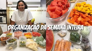 Organizando alimentos da semana toda, trouxinha de suco detox, preparação de frutas e legumes