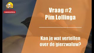 Vraag #2 DierenLot - Pim Lollinga