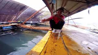 Floating Fish Farm Langkawi Malaysia [2018]