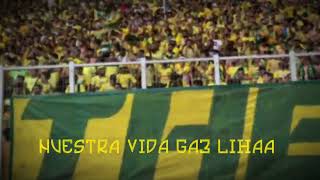 NUESTRA VIDA | ULTRAS KABYLIE BOYS | CHANT ULTRAS JSK