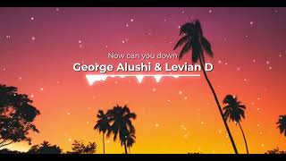 George Alushi & Levian D - Now can you down (Official video)